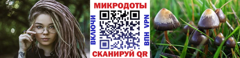дарнет шоп  MEGA сайт  Галлюциногенные грибы мицелий  Черногорск 